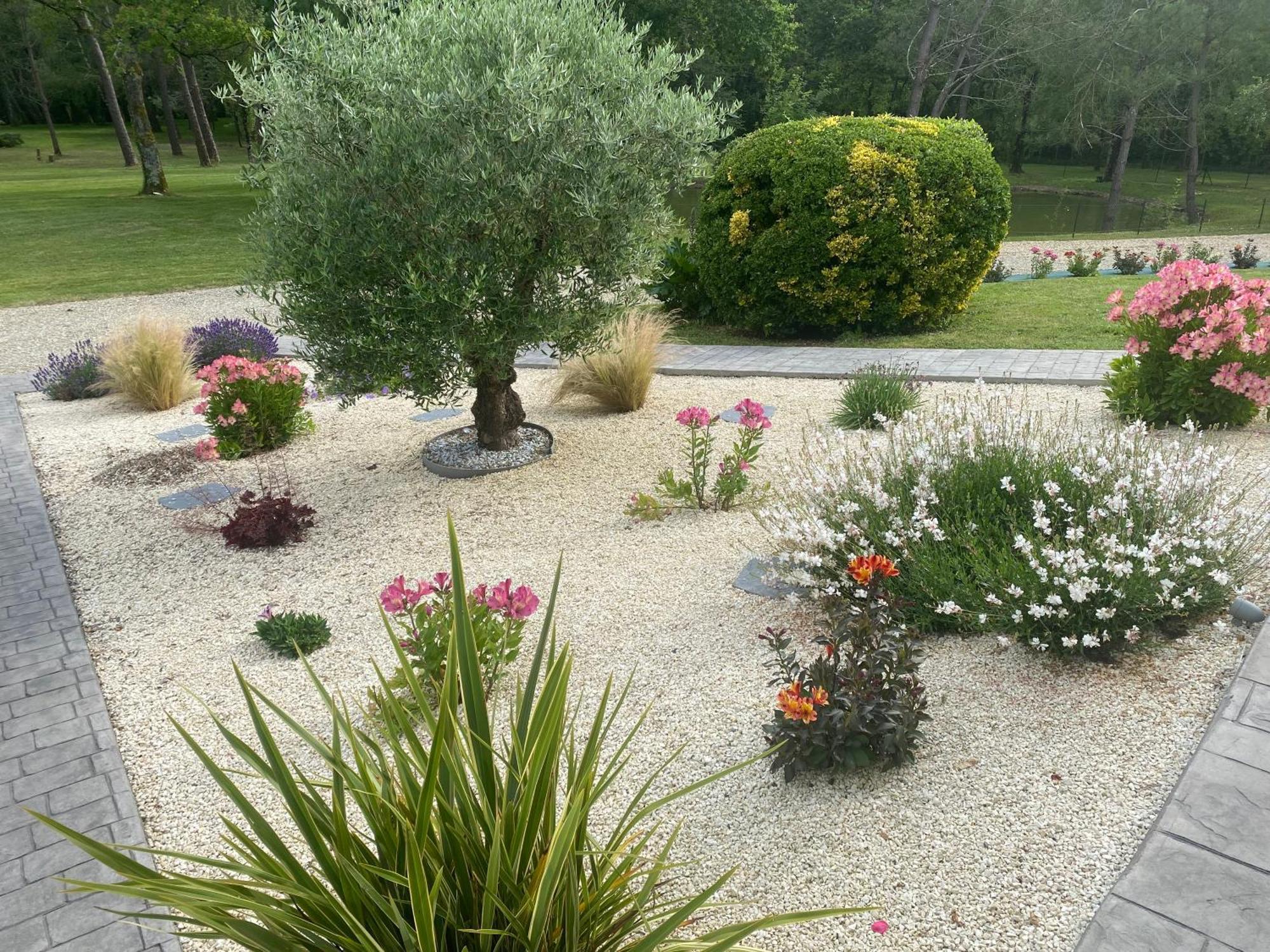 Les Pins Perdus Bed & Breakfast Saint-Ciers-d'Abzac Ngoại thất bức ảnh